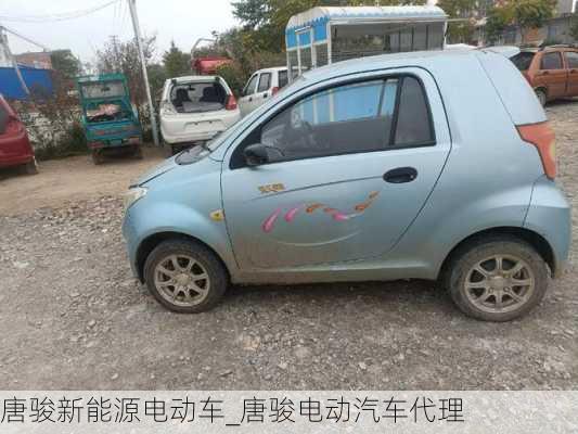 唐駿新能源電動車_唐駿電動汽車代理