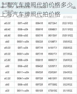 上海汽車(chē)牌照代拍價(jià)格多少_上海汽車(chē)牌照代拍價(jià)格