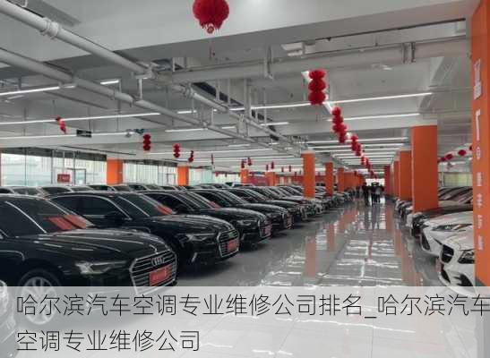 哈爾濱汽車空調(diào)專業(yè)維修公司排名_哈爾濱汽車空調(diào)專業(yè)維修公司