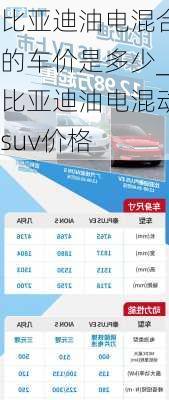 比亞迪油電混合的車價是多少_比亞迪油電混動suv價格