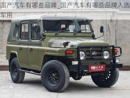 國產(chǎn)汽車有哪些品牌_國產(chǎn)汽車有哪些品牌入選軍用