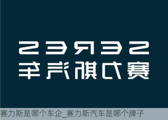 賽力斯是哪個(gè)車企_賽力斯汽車是哪個(gè)牌子