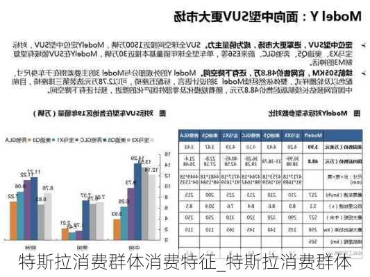 特斯拉消費(fèi)群體消費(fèi)特征_特斯拉消費(fèi)群體