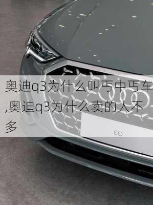 奧迪q3為什么叫丐中丐車,奧迪q3為什么賣的人不多