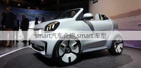 smart汽車介紹,smart 車型