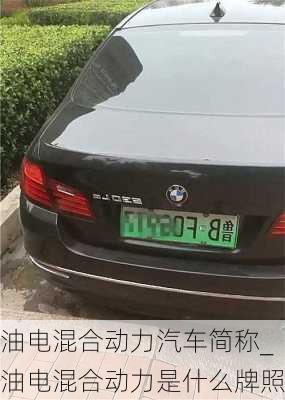 油電混合動(dòng)力汽車簡稱_油電混合動(dòng)力是什么牌照