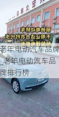 老年電動汽車品牌_老年電動汽車品牌排行榜