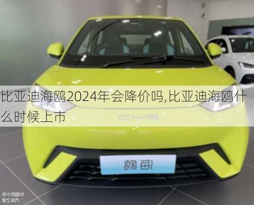 比亞迪海鷗2024年會(huì)降價(jià)嗎,比亞迪海鷗什么時(shí)候上市