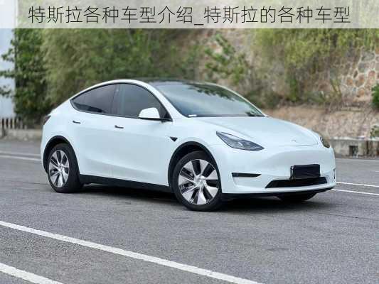 特斯拉各種車(chē)型介紹_特斯拉的各種車(chē)型