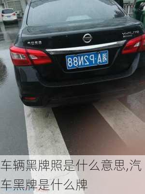 車輛黑牌照是什么意思,汽車黑牌是什么牌