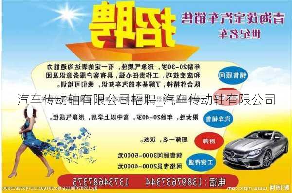 汽車傳動軸有限公司招聘_汽車傳動軸有限公司