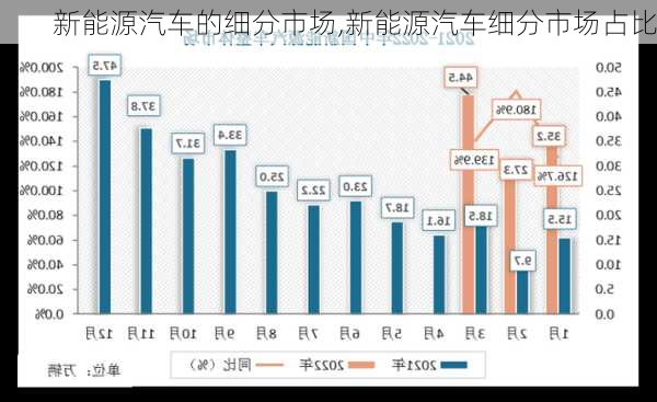 新能源汽車的細(xì)分市場(chǎng),新能源汽車細(xì)分市場(chǎng)占比