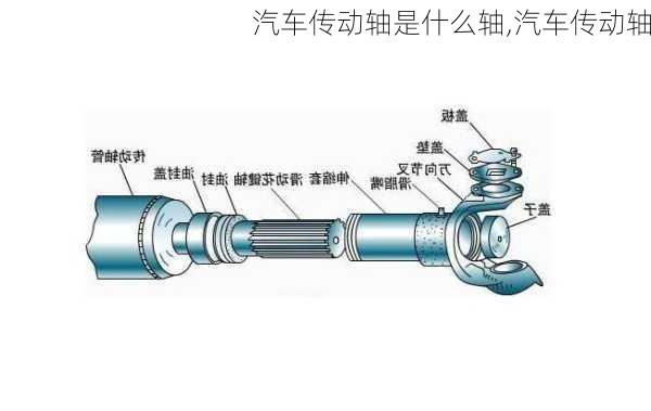 汽車傳動(dòng)軸是什么軸,汽車傳動(dòng)軸