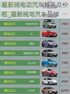 最新純電動汽車排名及價格_最新純電汽車品牌