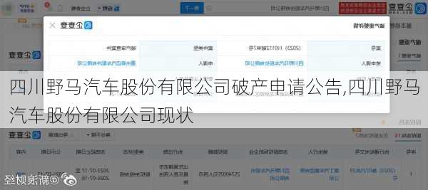 四川野馬汽車股份有限公司破產(chǎn)申請(qǐng)公告,四川野馬汽車股份有限公司現(xiàn)狀