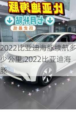 2022比亞迪海豚續(xù)航多少公里,2022比亞迪海豚