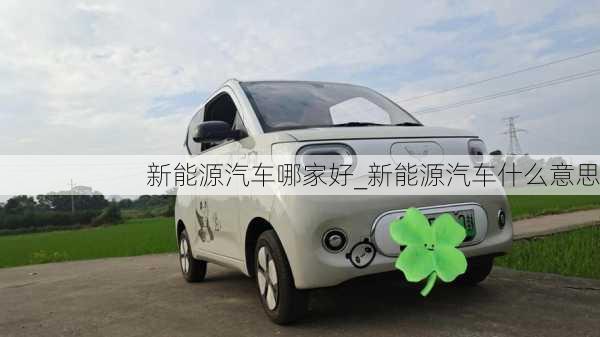 新能源汽車哪家好_新能源汽車什么意思