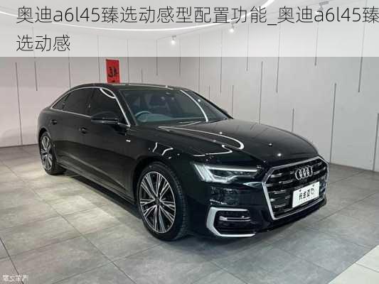 奧迪a6l45臻選動感型配置功能_奧迪a6l45臻選動感