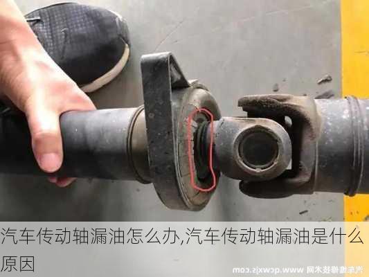 汽車傳動軸漏油怎么辦,汽車傳動軸漏油是什么原因