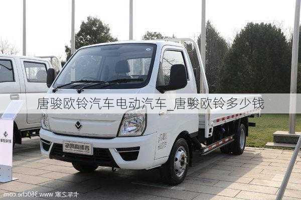 唐駿歐鈴汽車電動汽車_唐駿歐鈴多少錢