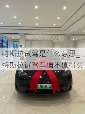 特斯拉試駕是什么意思_特斯拉試駕車值不值得買