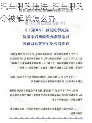 汽車限購違法_汽車限購令被解除怎么辦