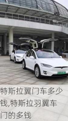 特斯拉翼門車多少錢,特斯拉羽翼車門的多錢