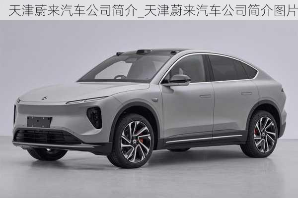 天津蔚來汽車公司簡(jiǎn)介_天津蔚來汽車公司簡(jiǎn)介圖片