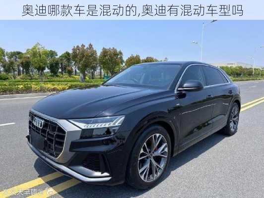 奧迪哪款車是混動(dòng)的,奧迪有混動(dòng)車型嗎