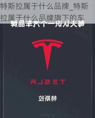 特斯拉屬于什么品牌_特斯拉屬于什么品牌旗下的車