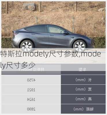 特斯拉modely尺寸參數(shù),modely尺寸多少