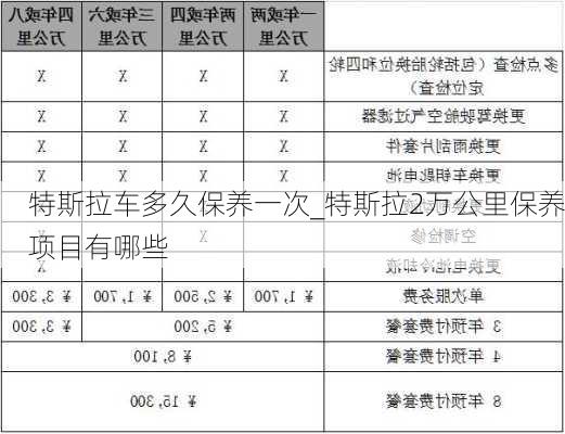 特斯拉車多久保養(yǎng)一次_特斯拉2萬公里保養(yǎng)項(xiàng)目有哪些