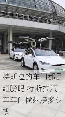 特斯拉的車門都是翅膀嗎,特斯拉汽車車門像翅膀多少錢