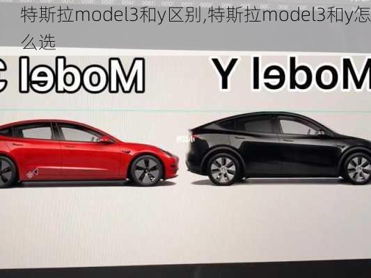 特斯拉model3和y區(qū)別,特斯拉model3和y怎么選