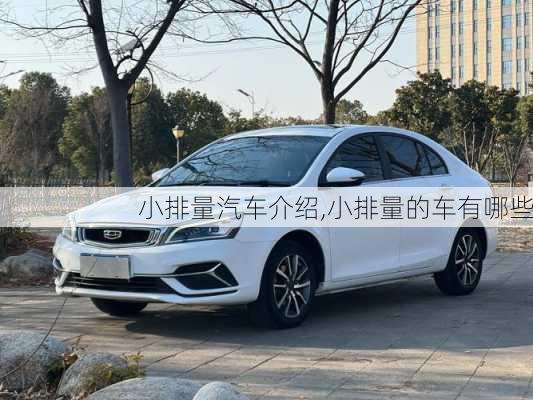 小排量汽車(chē)介紹,小排量的車(chē)有哪些