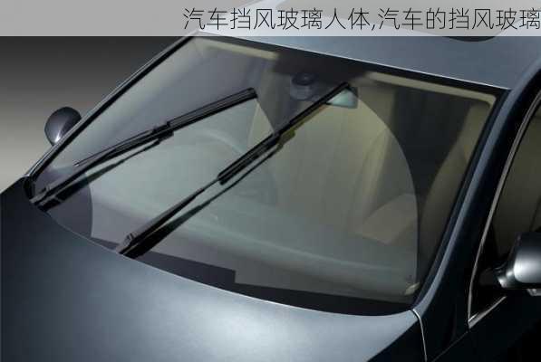 汽車擋風(fēng)玻璃人體,汽車的擋風(fēng)玻璃