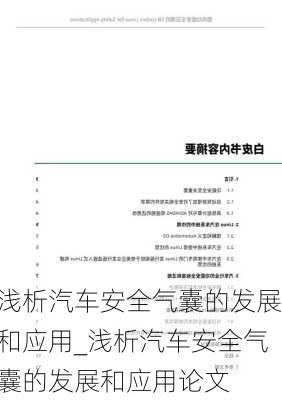 淺析汽車安全氣囊的發(fā)展和應(yīng)用_淺析汽車安全氣囊的發(fā)展和應(yīng)用論文