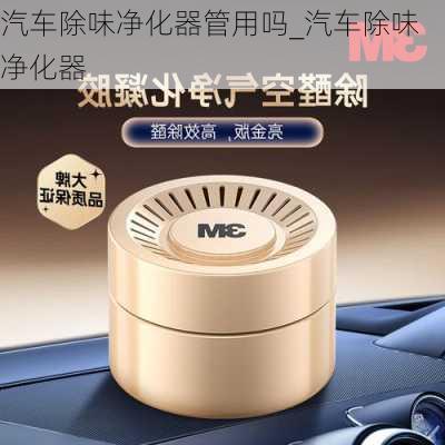 汽車除味凈化器管用嗎_汽車除味凈化器