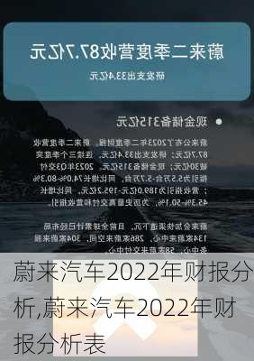 蔚來汽車2022年財報分析,蔚來汽車2022年財報分析表