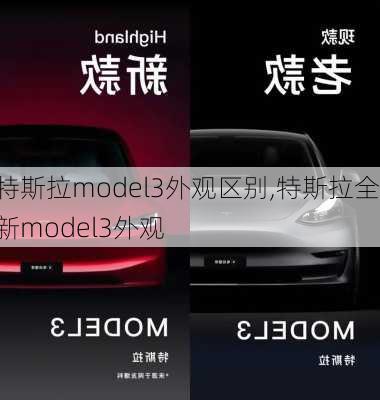 特斯拉model3外觀區(qū)別,特斯拉全新model3外觀