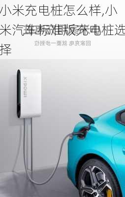 小米充電樁怎么樣,小米汽車標(biāo)準(zhǔn)版充電樁選擇