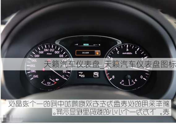 天籟汽車(chē)儀表盤(pán)_天籟汽車(chē)儀表盤(pán)圖標(biāo)