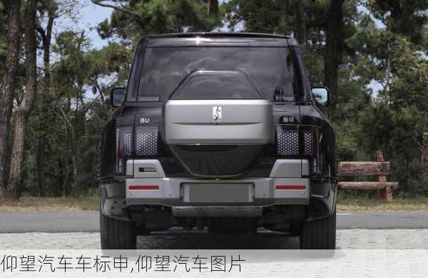 仰望汽車車標(biāo)申,仰望汽車圖片