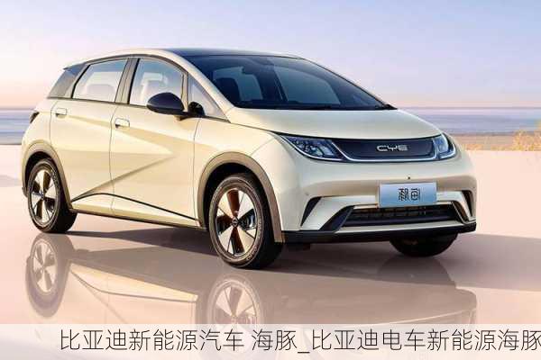 比亞迪新能源汽車(chē) 海豚_比亞迪電車(chē)新能源海豚