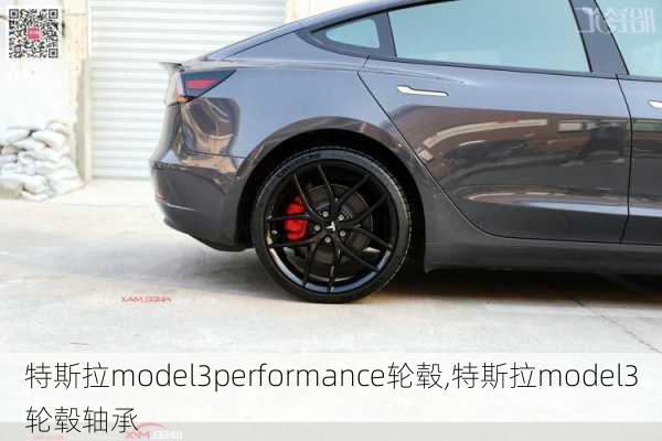 特斯拉model3performance輪轂,特斯拉model3輪轂軸承