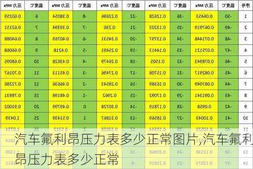 汽車氟利昂壓力表多少正常圖片,汽車氟利昂壓力表多少正常