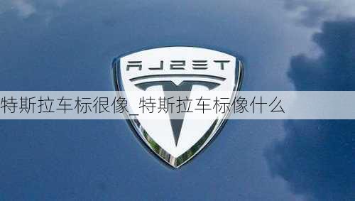 特斯拉車標(biāo)很像_特斯拉車標(biāo)像什么