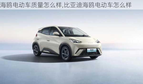 海鷗電動(dòng)車質(zhì)量怎么樣,比亞迪海鷗電動(dòng)車怎么樣