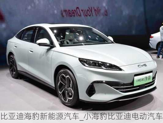 比亞迪海豹新能源汽車_小海豹比亞迪電動汽車