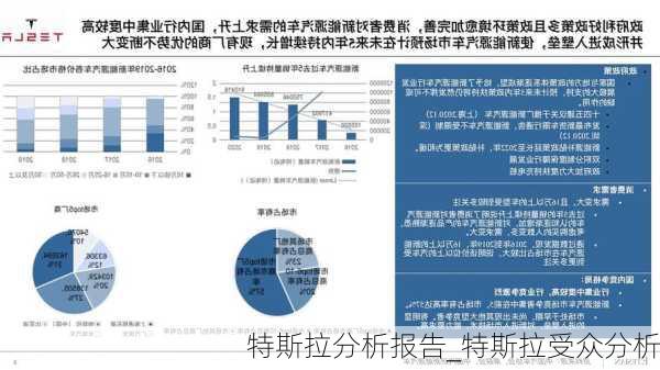 特斯拉分析報(bào)告_特斯拉受眾分析